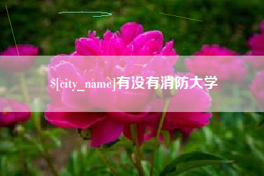 云浮有没有消防大学