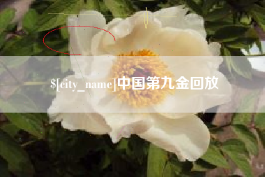 云浮中国第九金回放