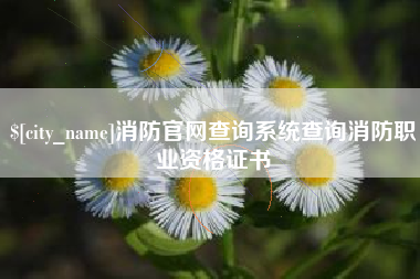 云浮消防官网查询系统查询消防职业资格证书