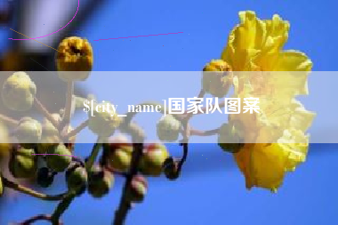 云浮国家队图案