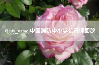 云浮中国消防中小学公开课回放