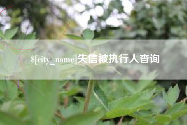 云浮失信被执行人杳询