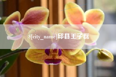 云浮邱县王子磊