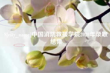 云浮中国消防救援学院2020年录取结果