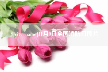 云浮11月9日全国消防日图片