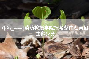 云浮消防救援学院报考条件湖南招生多少分