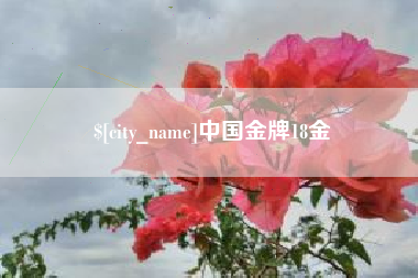 云浮中国金牌18金