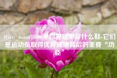 云浮5000米世界冠军穿什么鞋-它们是运动员取得优异成绩背后的重要“功臣”