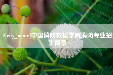 云浮中国消防救援学院消防专业招生简章 云浮中国消防救援学院消防专业招生简章