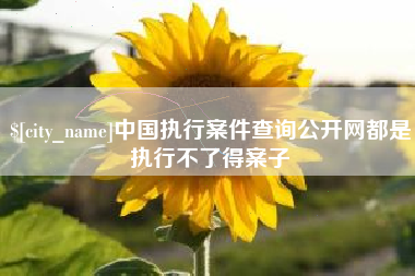 云浮中国执行案件查询公开网都是执行不了得案子