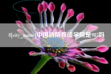 云浮中国消防救援学院是985吗