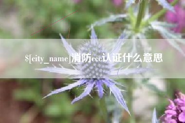 云浮消防ccc认证什么意思