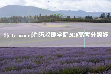 云浮消防救援学院2020高考分数线
