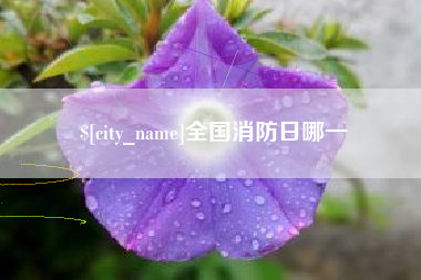云浮全国消防日哪一