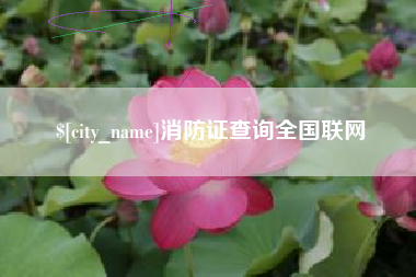 云浮消防证查询全国联网