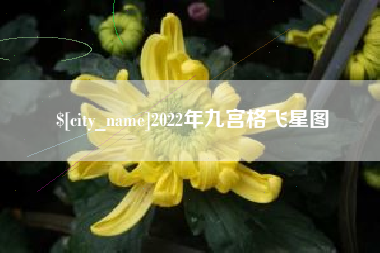 云浮2022年九宫格飞星图