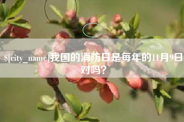 云浮我国的消防日是每年的11月9日对吗？