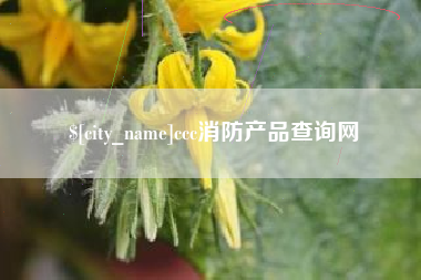 云浮ccc消防产品查询网