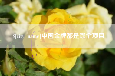 云浮中国金牌都是哪个项目