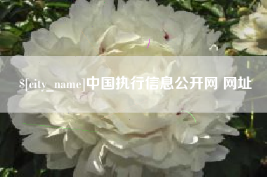 云浮中国执行信息公开网 网址