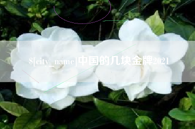 云浮中国的几块金牌2021