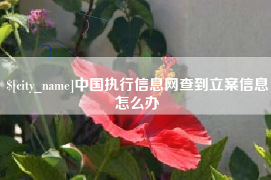 云浮中国执行信息网查到立案信息怎么办