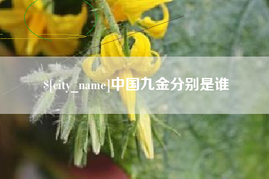 云浮中国九金分别是谁