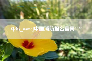 云浮中国消防报名官网2020