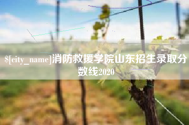 云浮消防救援学院山东招生录取分数线2020