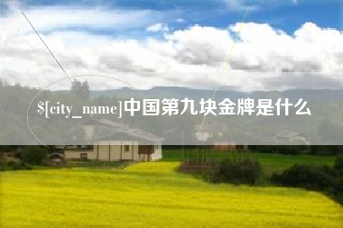 云浮中国第九块金牌是什么