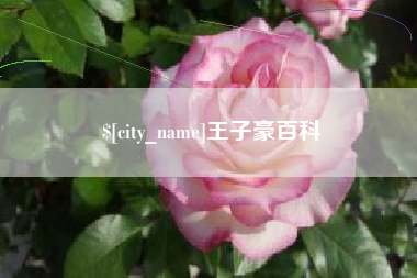 云浮王子豪百科