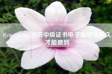 云浮消防中级证书电子版查询多久才能查到