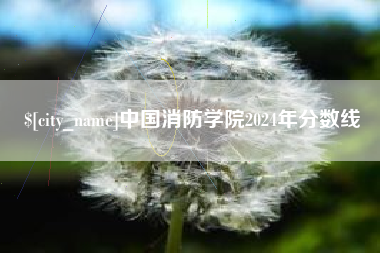 云浮中国消防学院2024年分数线
