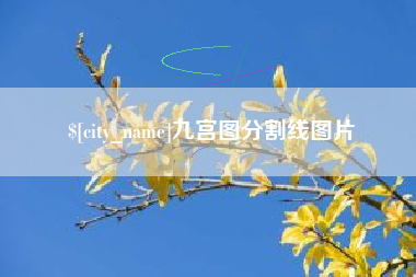 云浮九宫图分割线图片