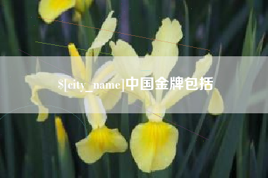 云浮中国金牌包括