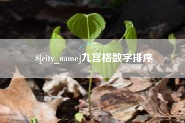 云浮九宫格数字排序