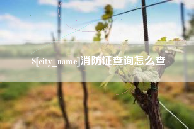 云浮消防证查询怎么查