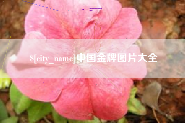 云浮中国金牌图片大全