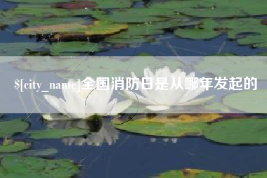 云浮全国消防日是从哪年发起的