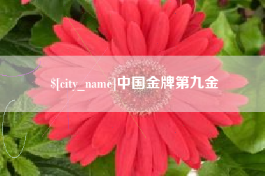 云浮中国金牌第九金