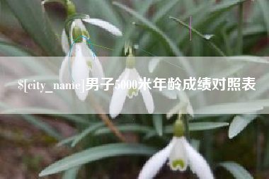 云浮男子5000米年龄成绩对照表
