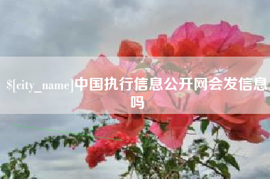 云浮中国执行信息公开网会发信息吗