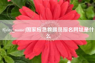 云浮国家应急救援员报名网址是什么