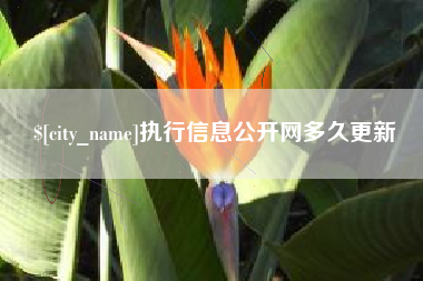 云浮执行信息公开网多久更新
