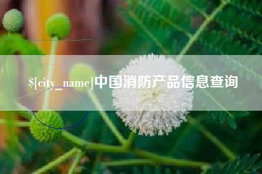 云浮中国消防产品信息查询