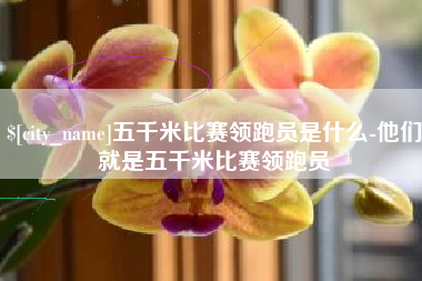 云浮五千米比赛领跑员是什么-他们就是五千米比赛领跑员