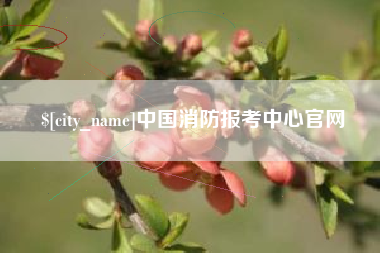 云浮中国消防报考中心官网