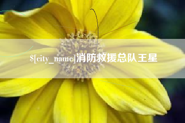 云浮消防救援总队王星