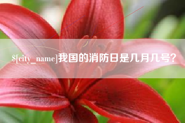 云浮我国的消防日是几月几号？
