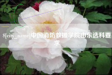 云浮中国消防救援学院山东选科要求